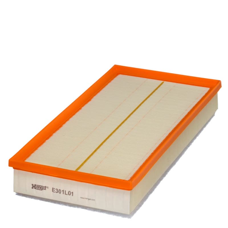 HENGSTFILTER oro filtras E301L01