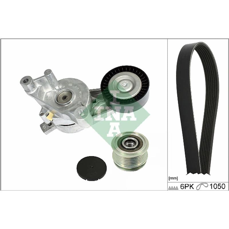 SCHAEFFLERINA V formos rumbuotas diržas, komplektas 529 0468 20