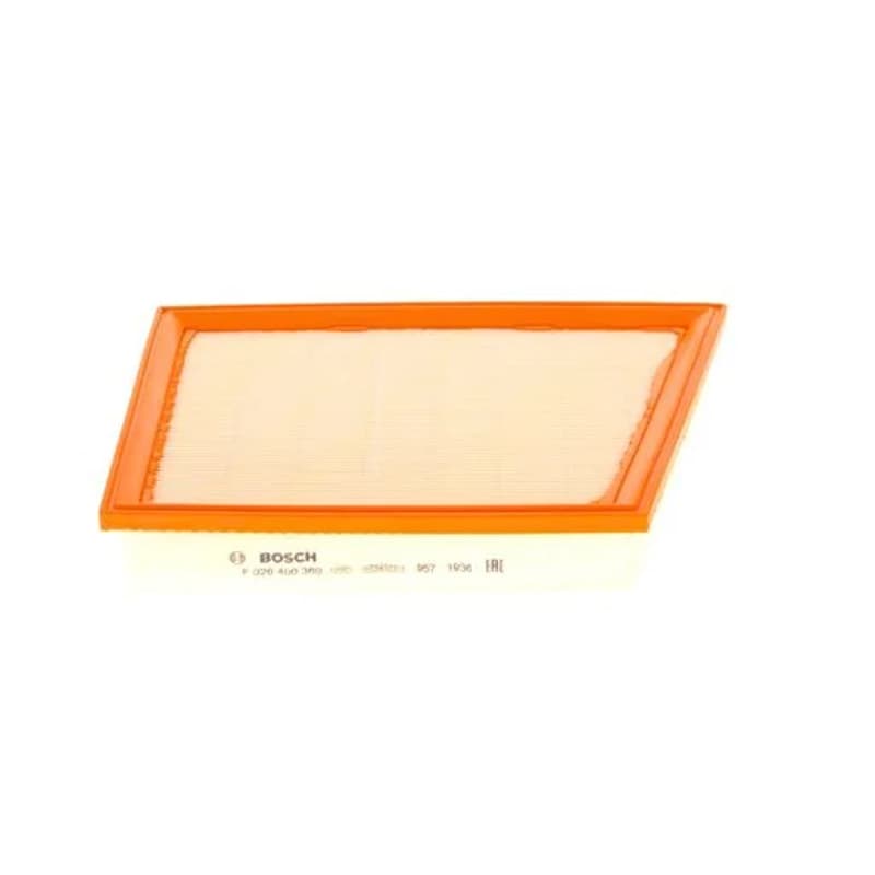 BOSCH F 026 400 360 oro filtras