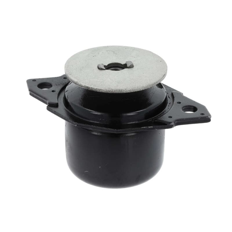 CORTECO montavimas, automatinė transmisija 21652428