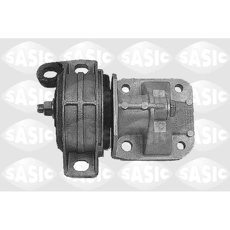 SASIC variklio montavimas 9002445