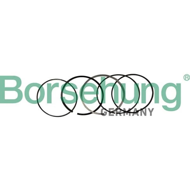 BORSEHUNG stūmoklio žiedų komplektas B10369