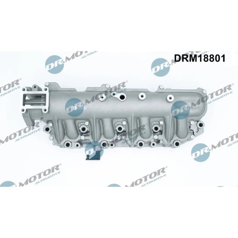 DRMOTORAUTOMOTIVE įsiurbimo kolektoriaus modulis DRM18801