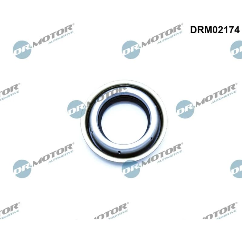 DRMOTORAUTOMOTIVE veleno sandariklis, diferencialas DRM02174