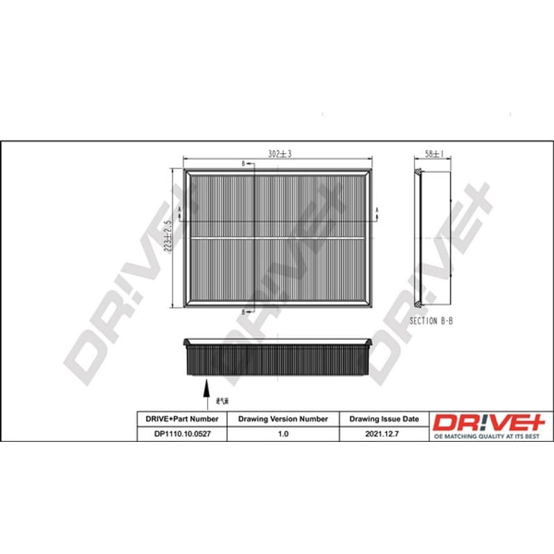 DRVE oro filtras DP1110.10.0527