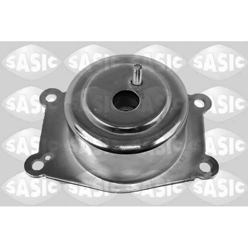 SASIC variklio montavimas 2706284
