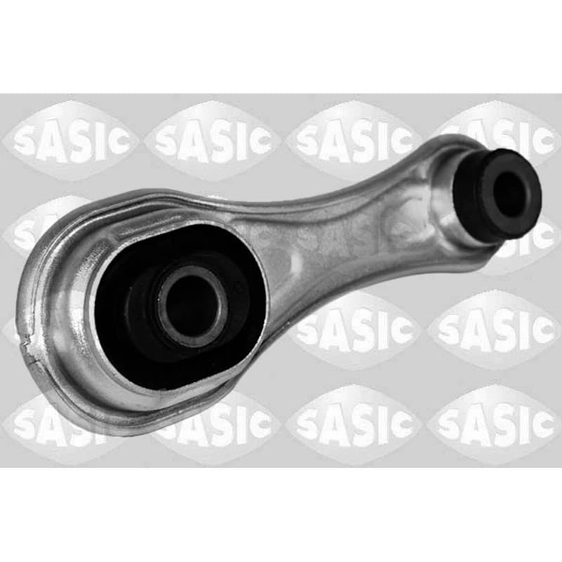 SASIC variklio montavimas 2704132