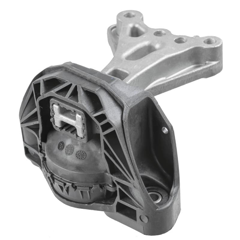 LEMFRDER variklio montavimas 44062 01