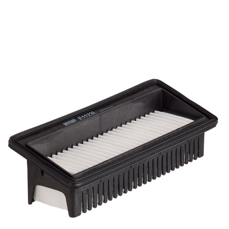 HENGSTFILTER oro filtras E1123L