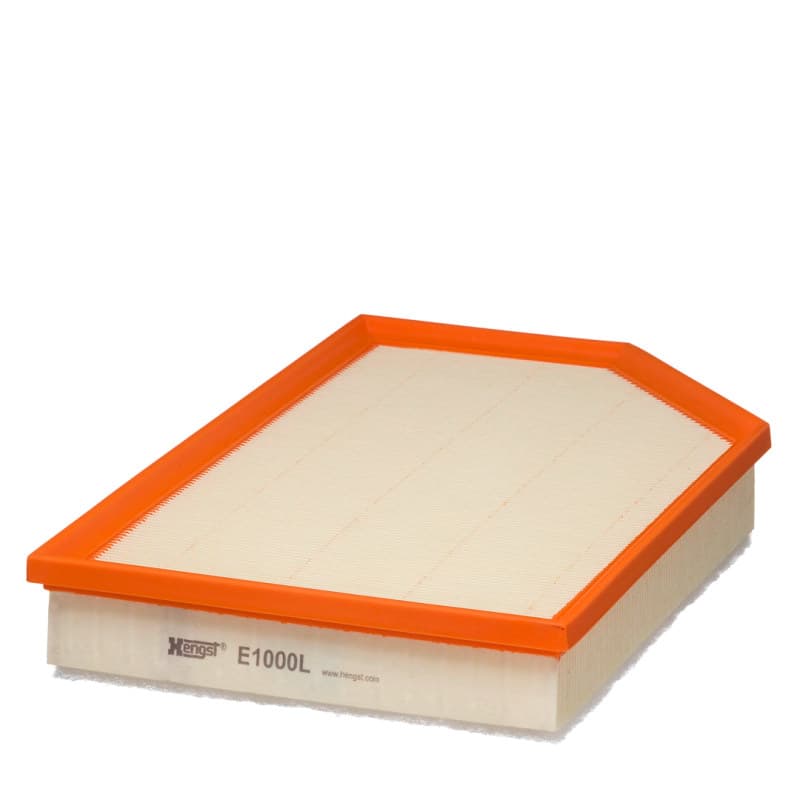 HENGSTFILTER oro filtras E1000L