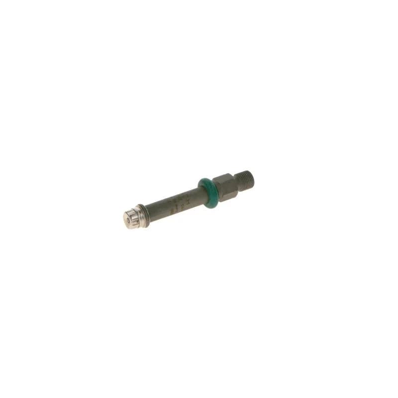 BOSCH 0 437 502 043 purkštukas