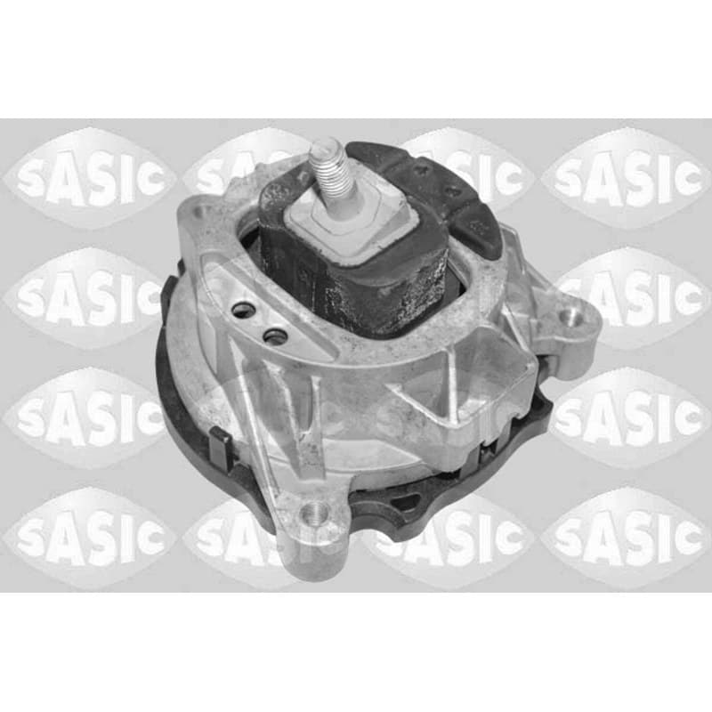 SASIC variklio montavimas 2706478