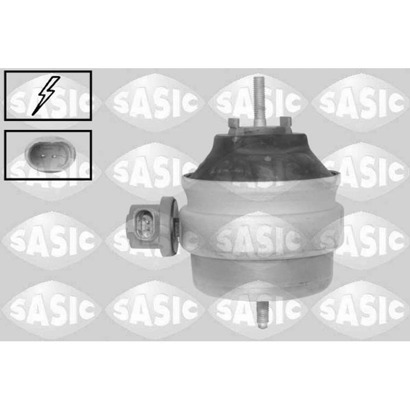 SASIC variklio montavimas 2706752