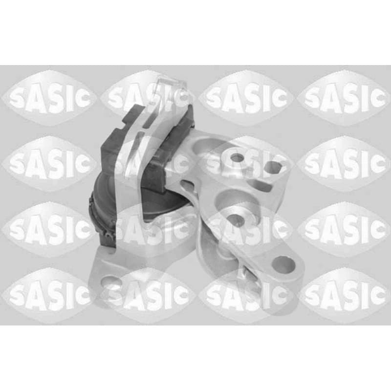 SASIC variklio montavimas 2704152