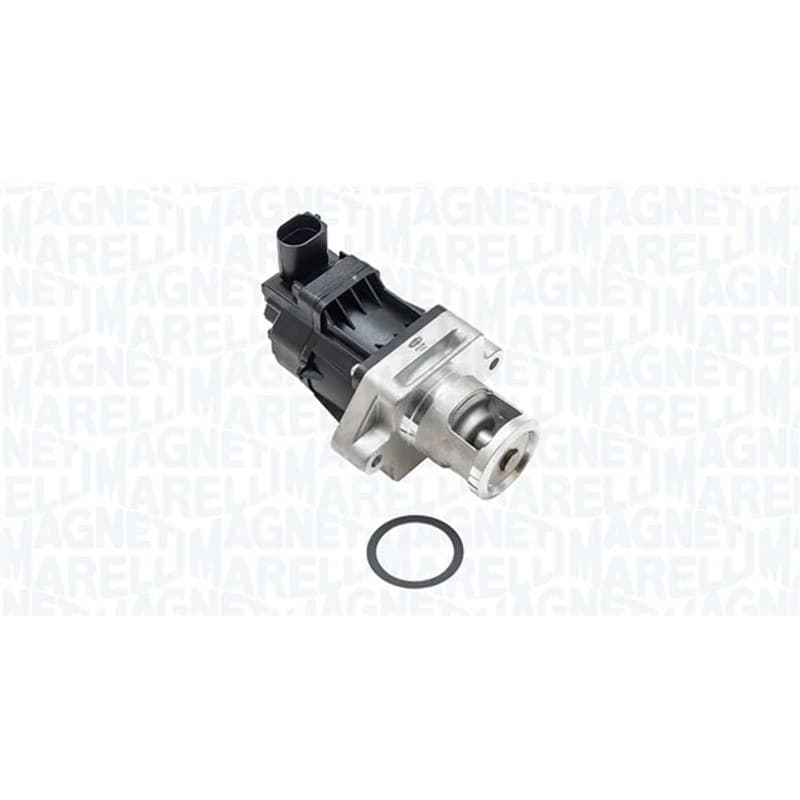 MAGNETIMARELLI ERG vožtuvas 571822112249