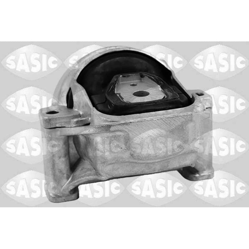 SASIC variklio montavimas 2706475