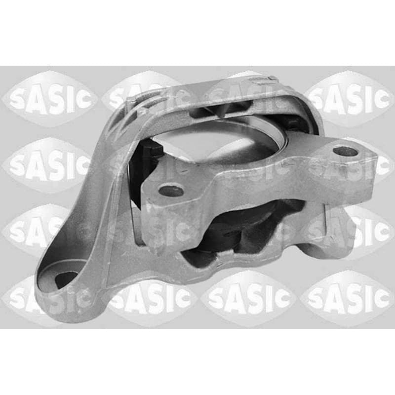 SASIC variklio montavimas 2706001