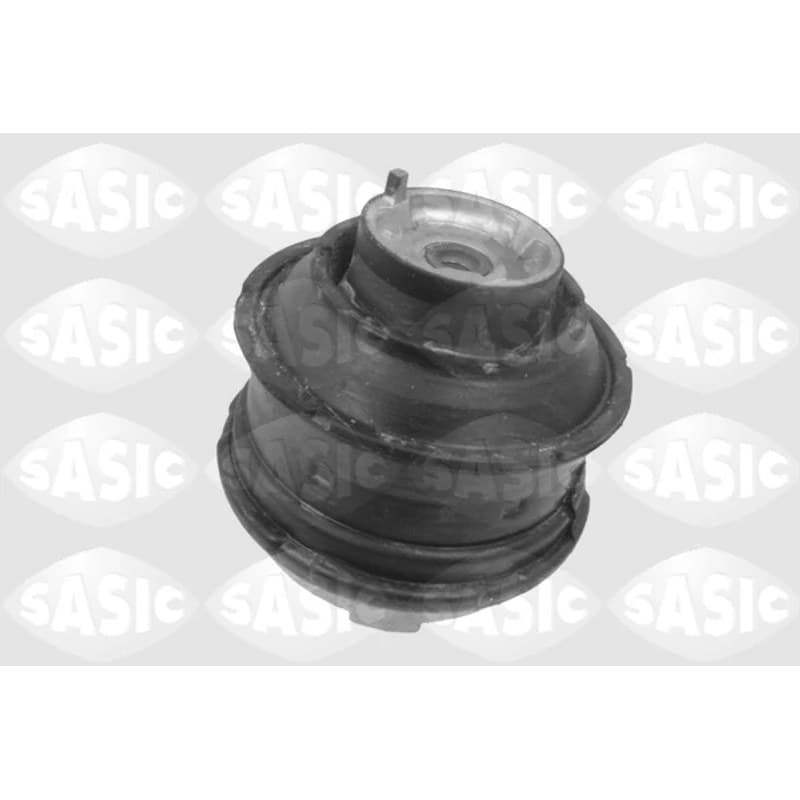 SASIC variklio montavimas 9002498