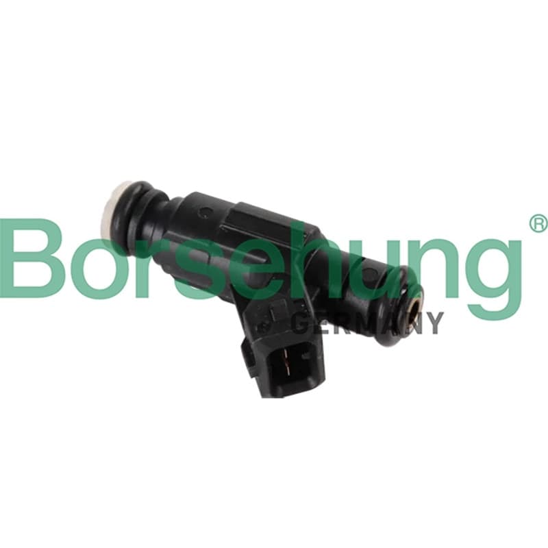 BORSEHUNG purkštukas B11164