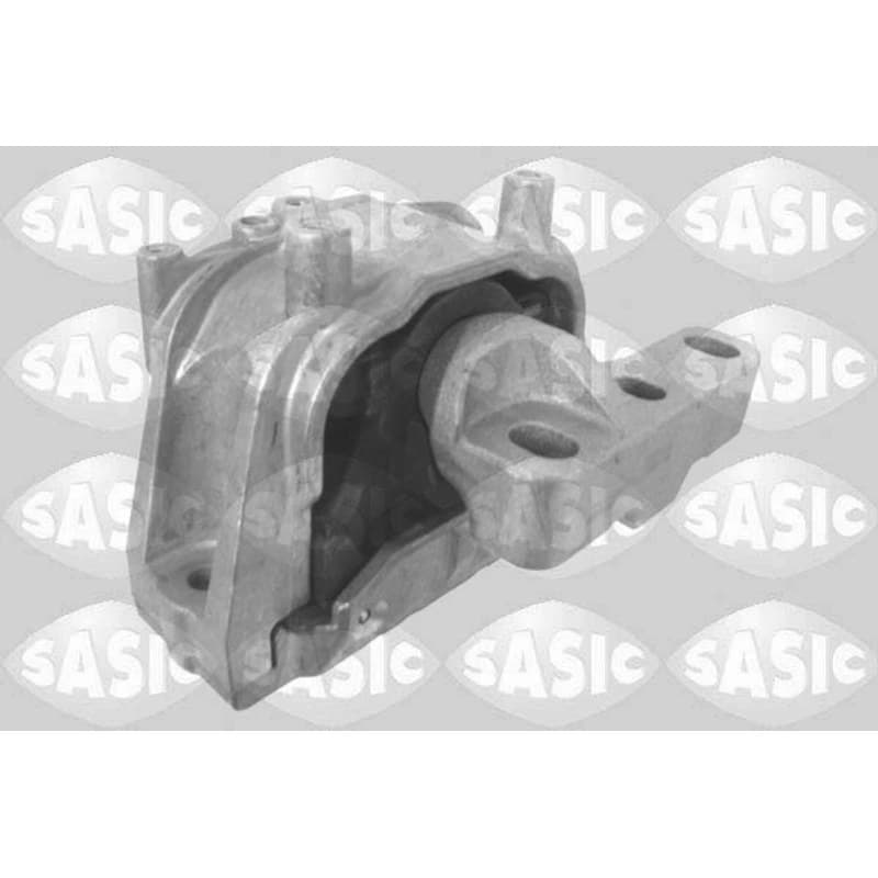 SASIC variklio montavimas 2706094