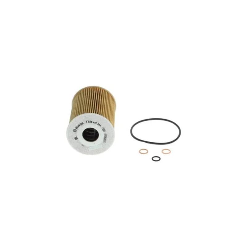 BOSCH F 026 407 384 alyvos filtras