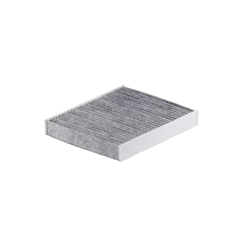 FILTRON filtras, salono oras K 1369A