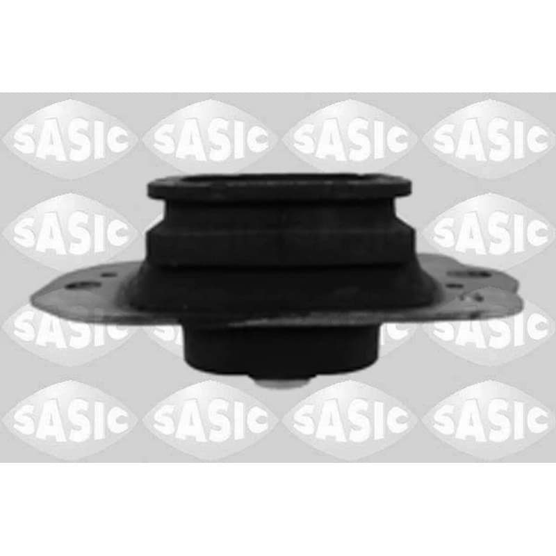 SASIC variklio montavimas 2704070