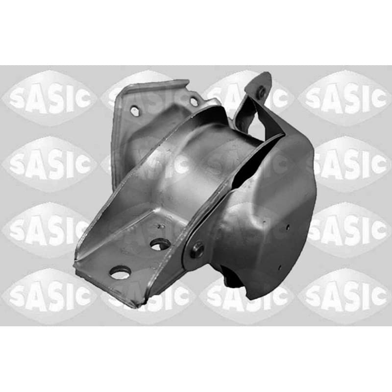SASIC variklio montavimas 2706424