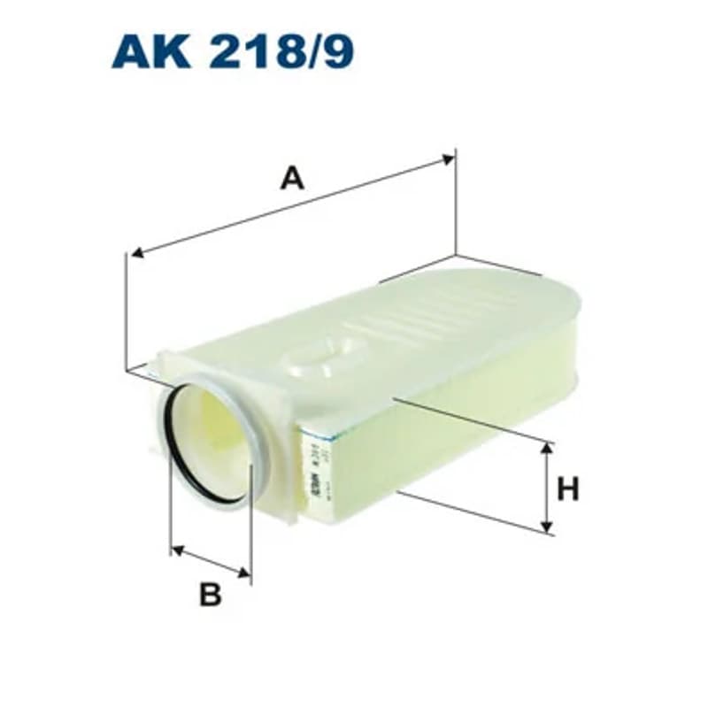 FILTRON Oro filtras AK 218/9