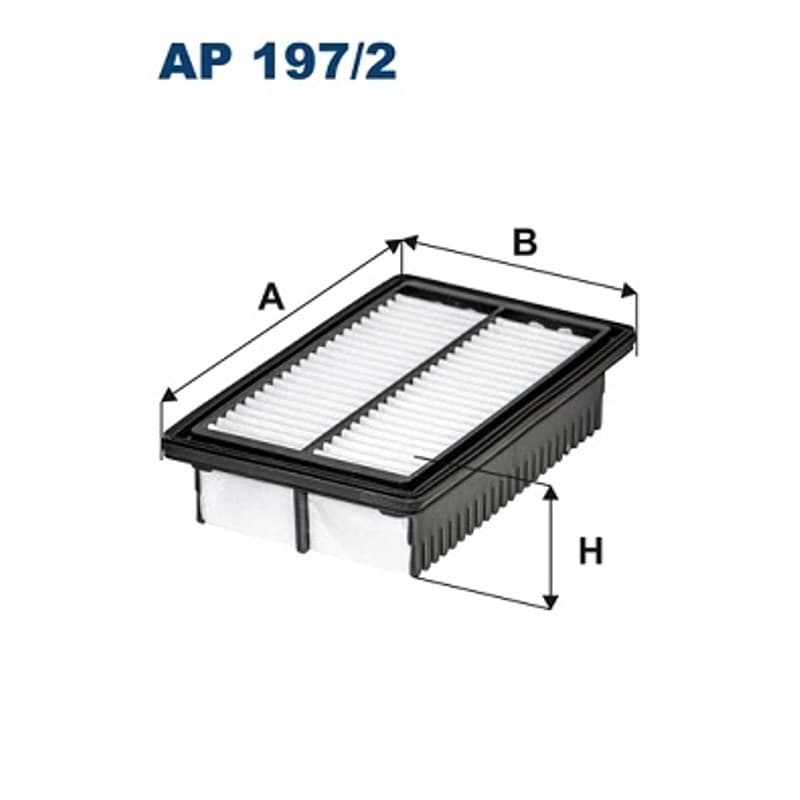 FILTRON AP 197/2 oro filtras