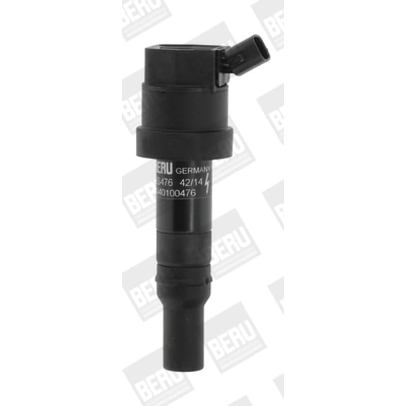BORGWARNERBERU ritė, uždegimas ZS476