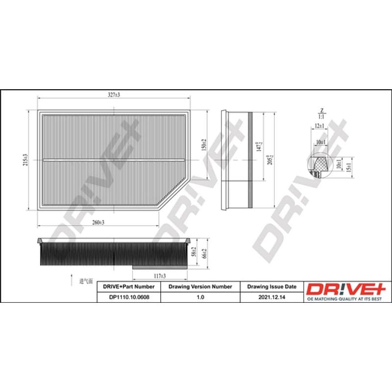 DRVE oro filtras DP1110.10.0608