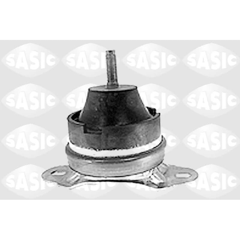 SASIC variklio montavimas 8441931
