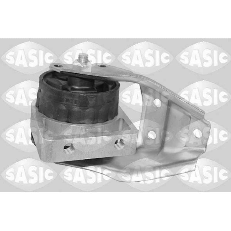 SASIC variklio montavimas 2706423