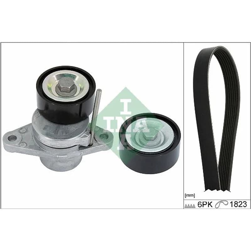 SCHAEFFLERINA V formos rumbuotas diržas, komplektas 529 0366 10
