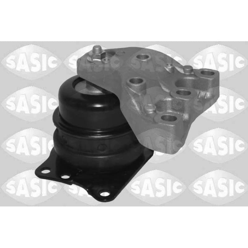 SASIC variklio montavimas 2706730