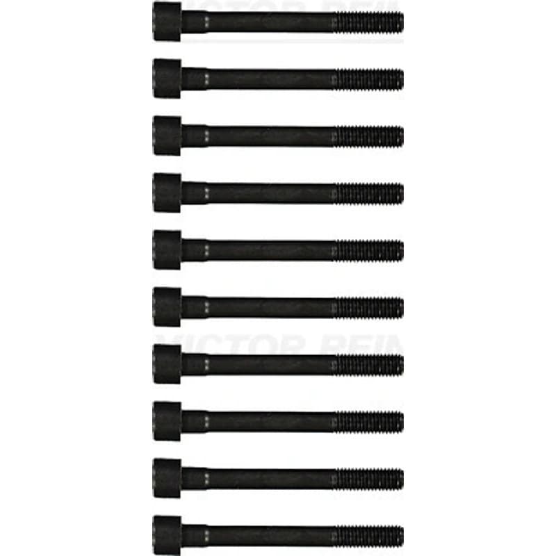 VICTORREINZ varžtų kompl., cil. galvutės varžtai 14-55009-01