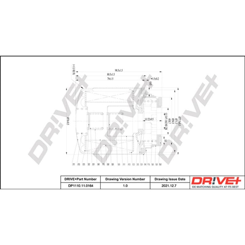 DRVE DP1110.11.0164 alyvos filtras