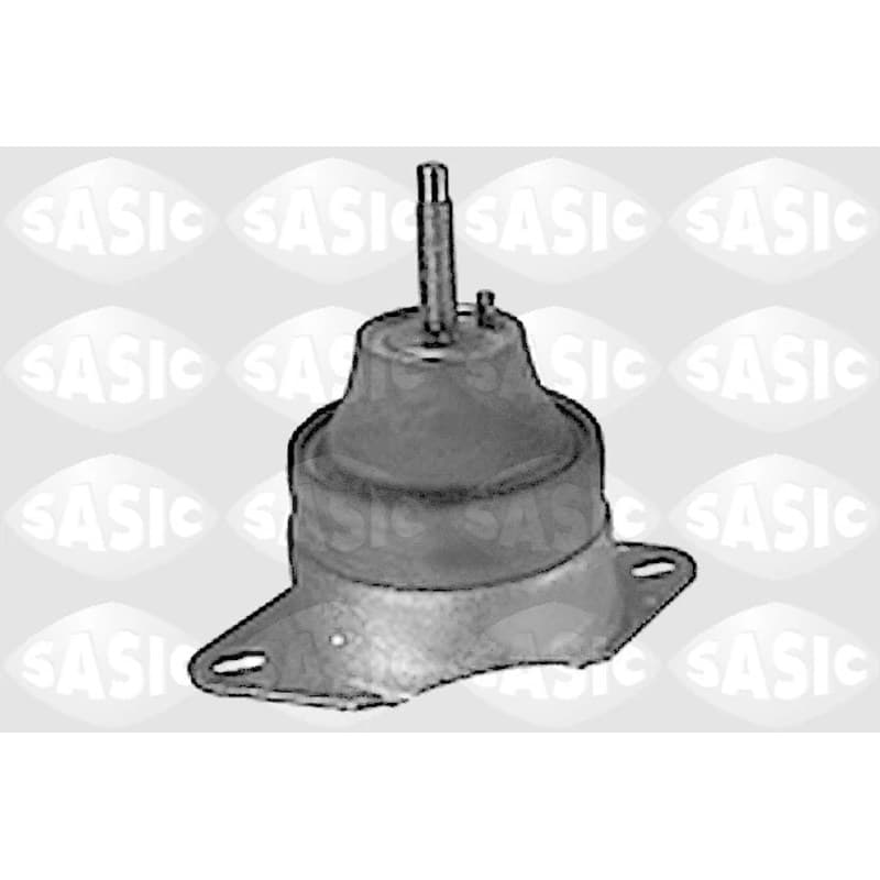 SASIC variklio montavimas 8271221