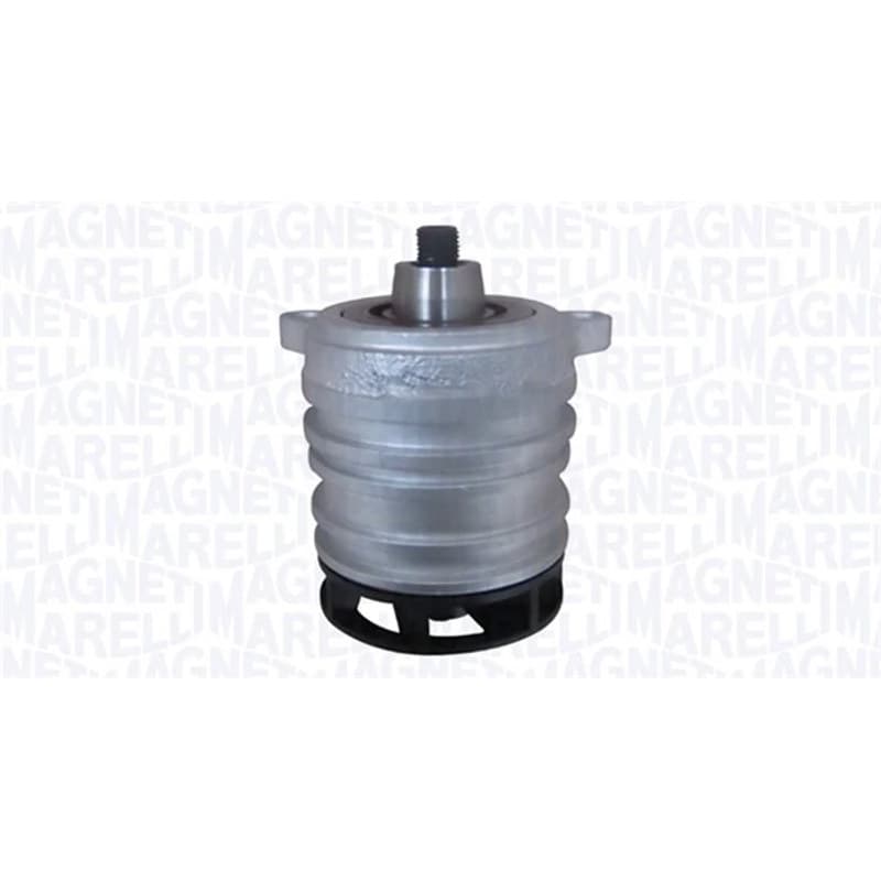 MAGNETIMARELLI Vandens siurblys, variklio aušinimas 352316171197