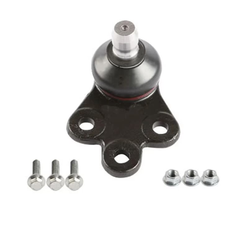 SKF VKDS 319001 Šarnyras / girgždukas