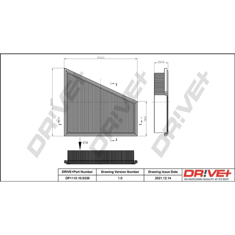 DRVE oro filtras DP1110.10.0339