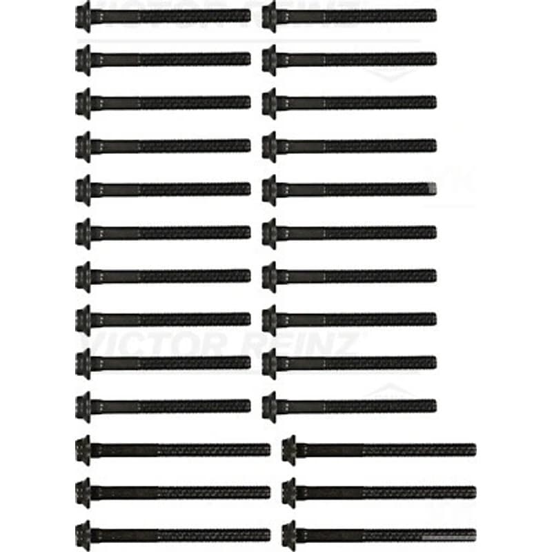 VICTORREINZ varžtų kompl., cil. galvutės varžtai 14-32033-03