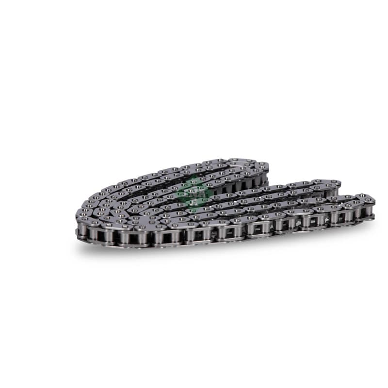 SCHAEFFLERINA pavaros grandinė 553 0300 10
