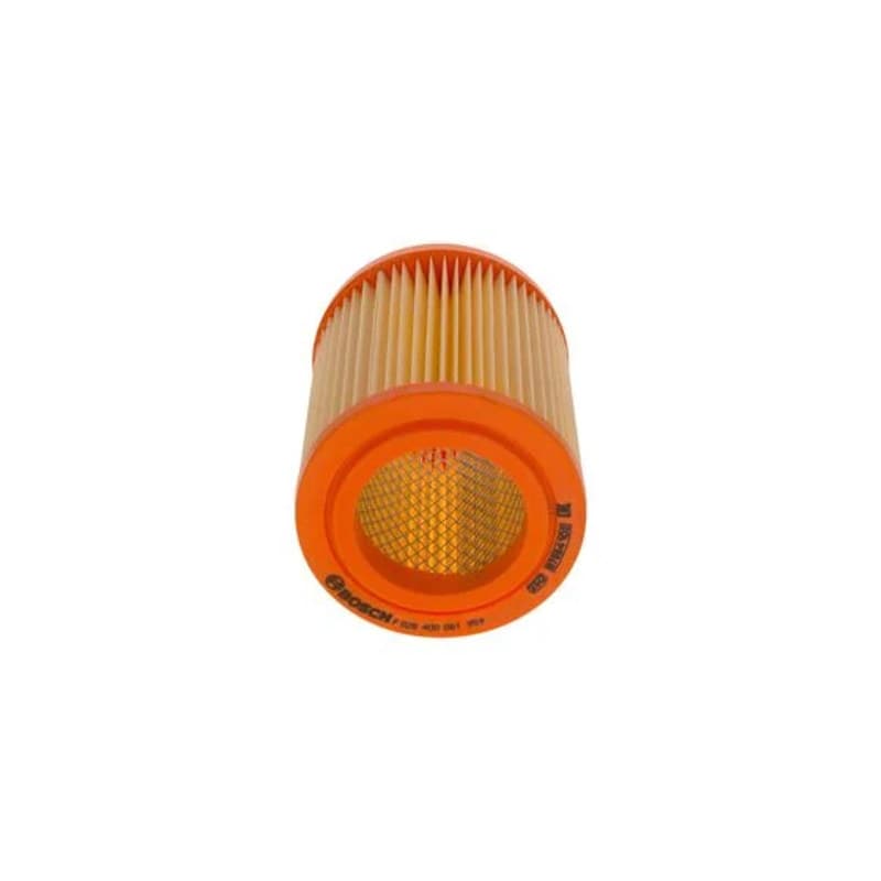 BOSCH F 026 400 061 oro filtras