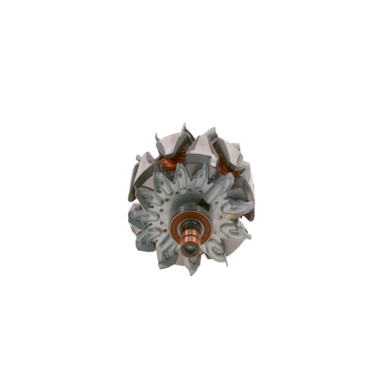 BOSCH F 00M 131 618 rotorius, kintamosios srovės generatorius