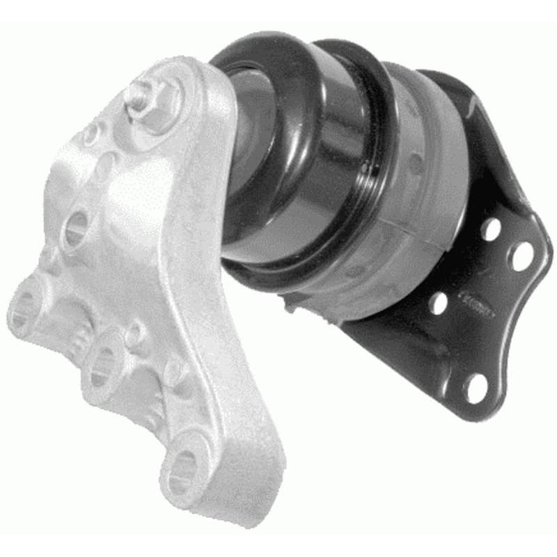LEMFRDER variklio montavimas 30541 01