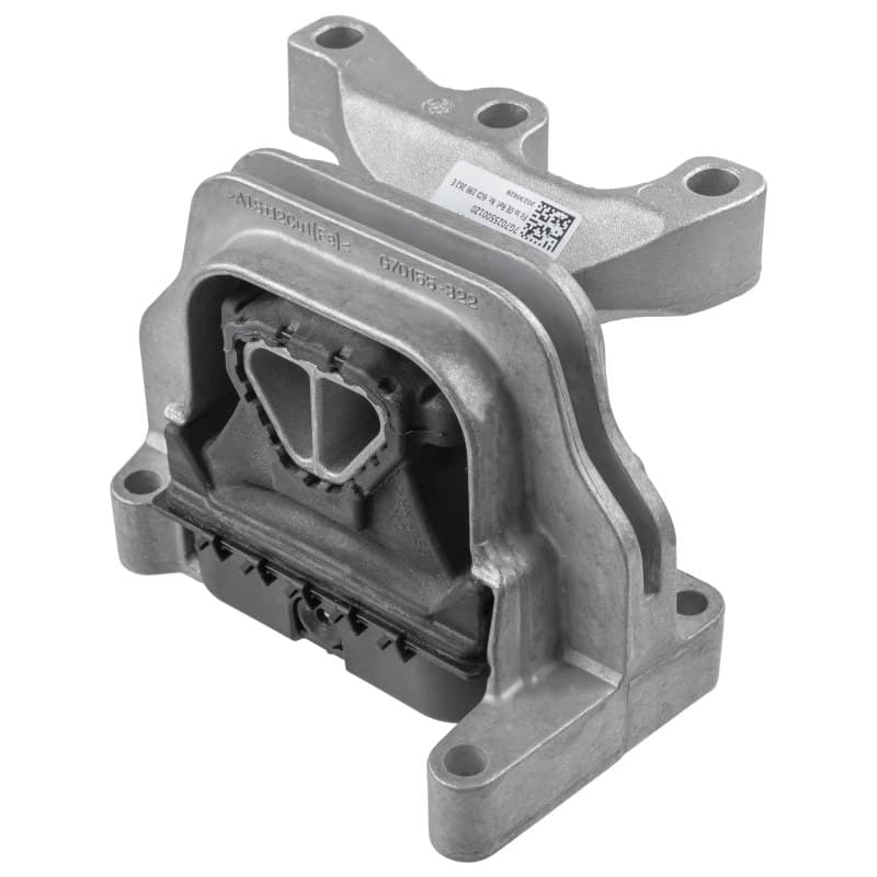 LEMFRDER variklio montavimas 44806 01