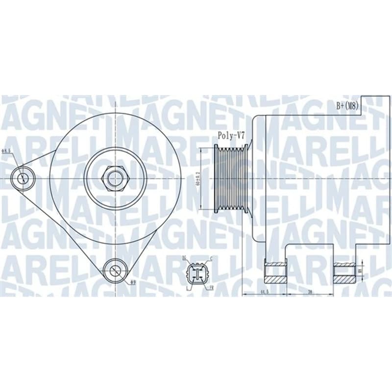 MAGNETIMARELLI kintamosios srovės generatorius 063732078010