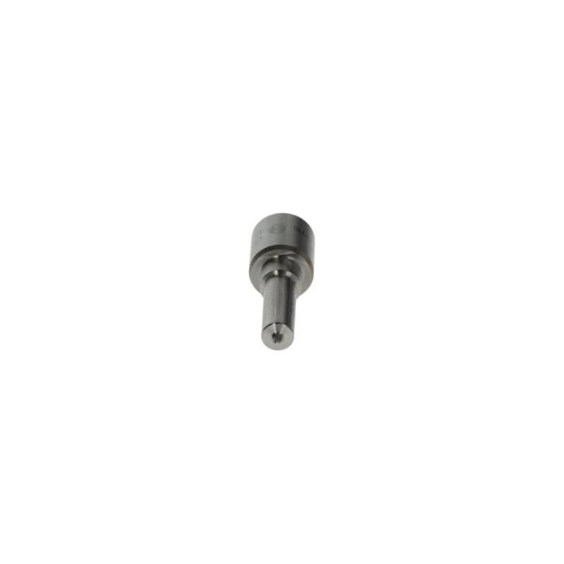BOSCH 0 433 172 296 įpurškimo antgalis